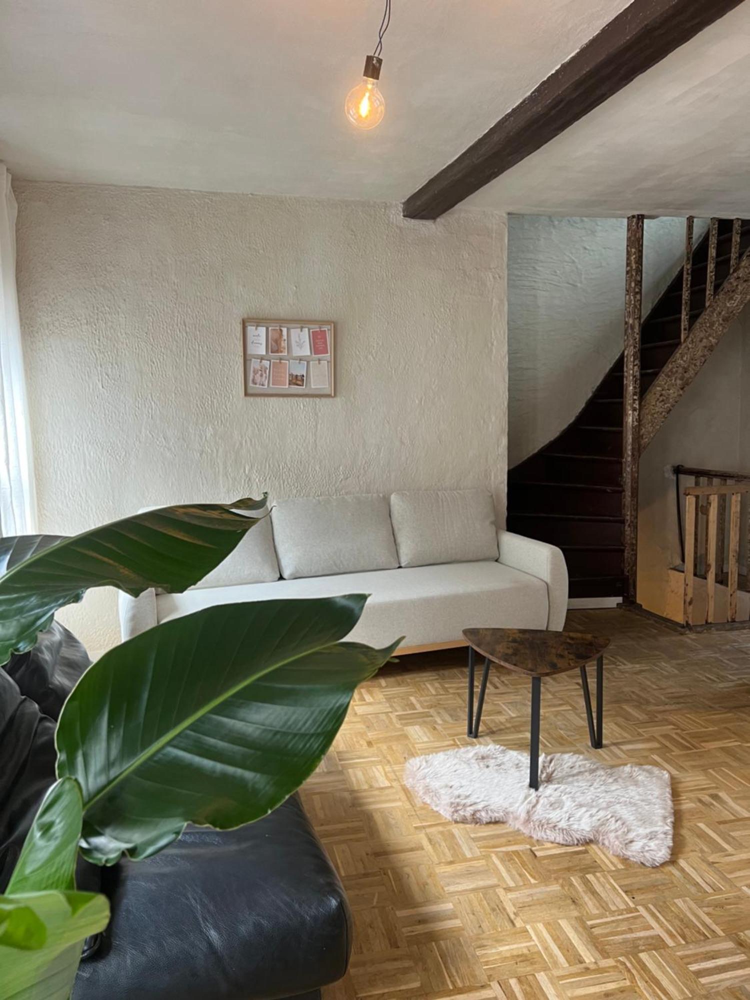 New Spacious Boutique Apartment's In The Center Of *