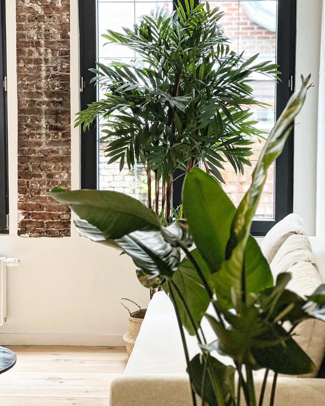 New Spacious Boutique Apartment's In The Center Of * Antwerpen